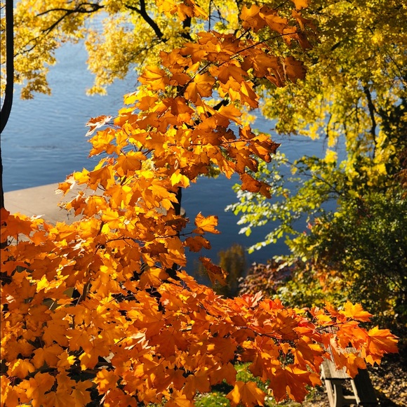 Meet your Posher, Jennifer - Picture 2 of 2